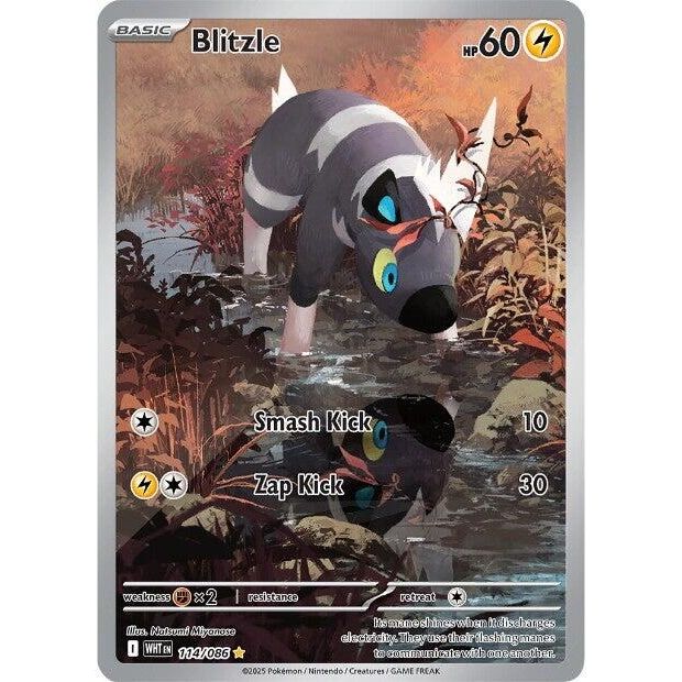 Blitzle (114/086) (SV: White Flare)