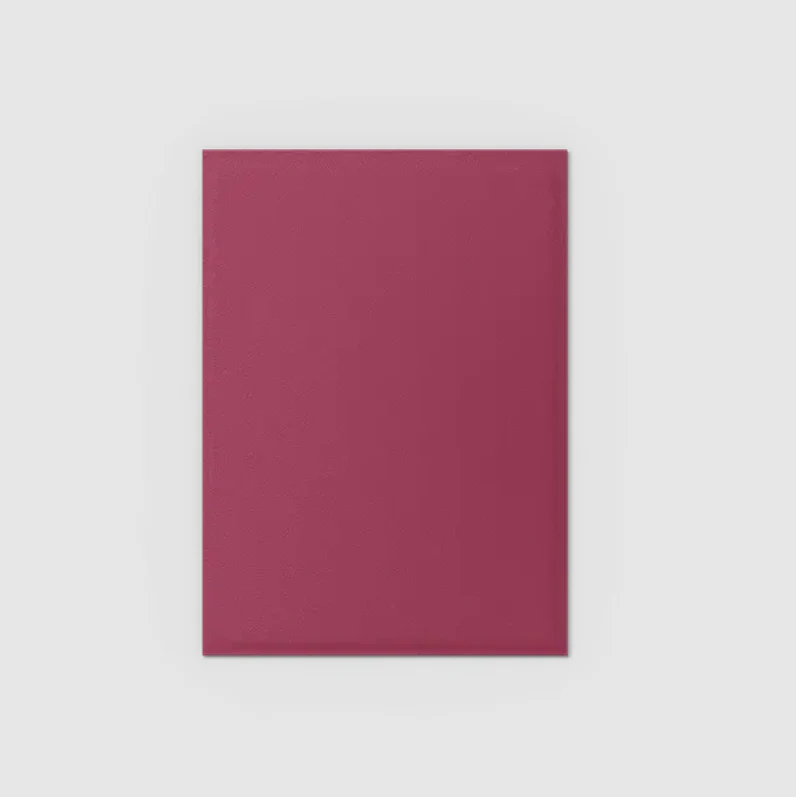 Dragon Shield - Standard '25th Special Edition - Red/Gold' DUAL Matte Sleeves 100 pack - Image 5