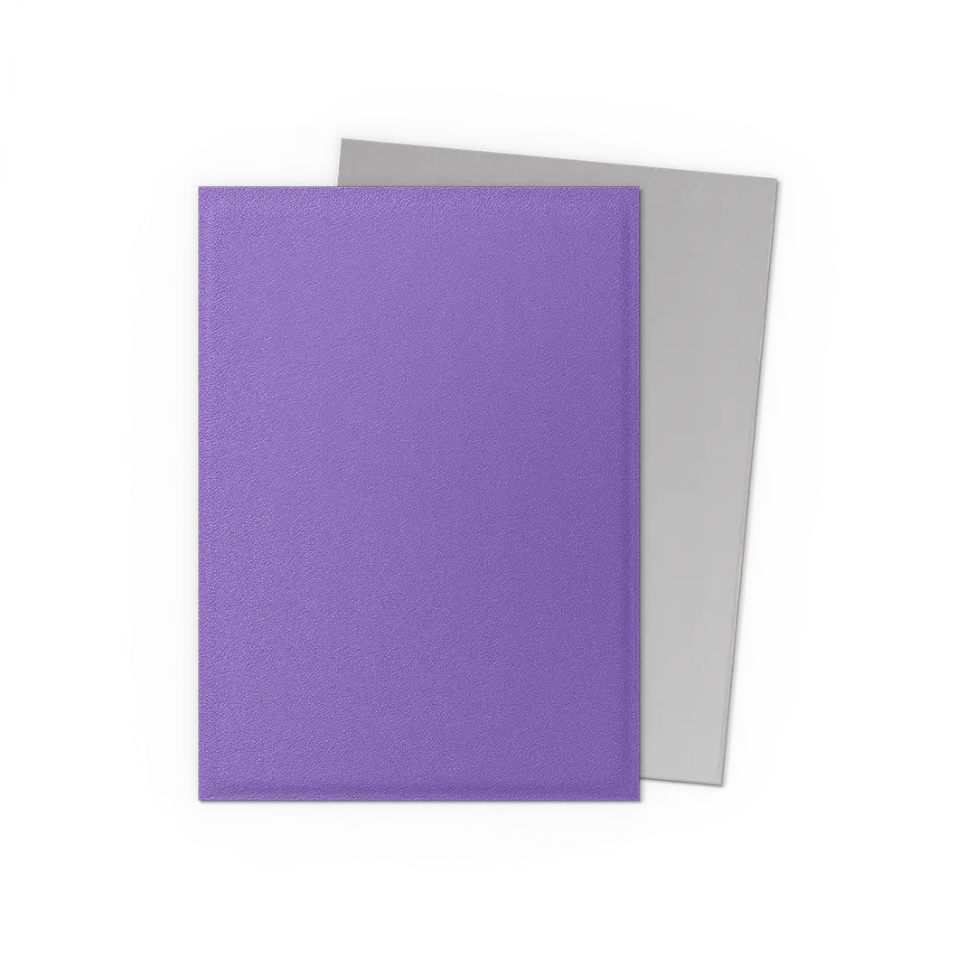 Dragon Shield - Standard 'Nebula & Silver' DUAL Matte Sleeves 100 pack - Image 2