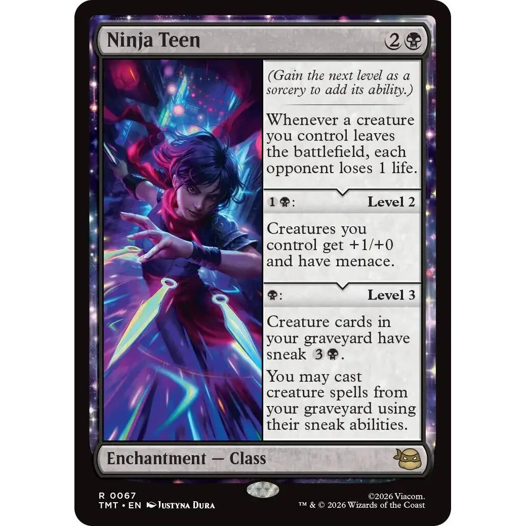 Ninja Teen (67) (Teenage Mutant Ninja Turtles)
