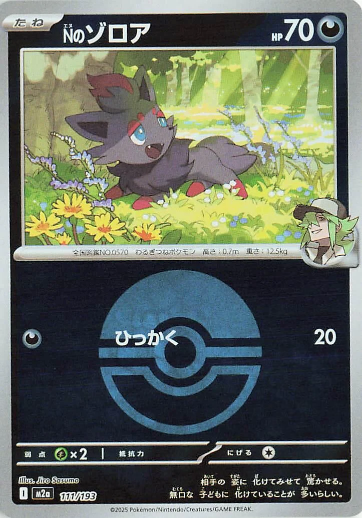 N's Zorua (Poke Ball Pattern) (111/193) (M2a: High Class Pack: MEGA Dream ex)